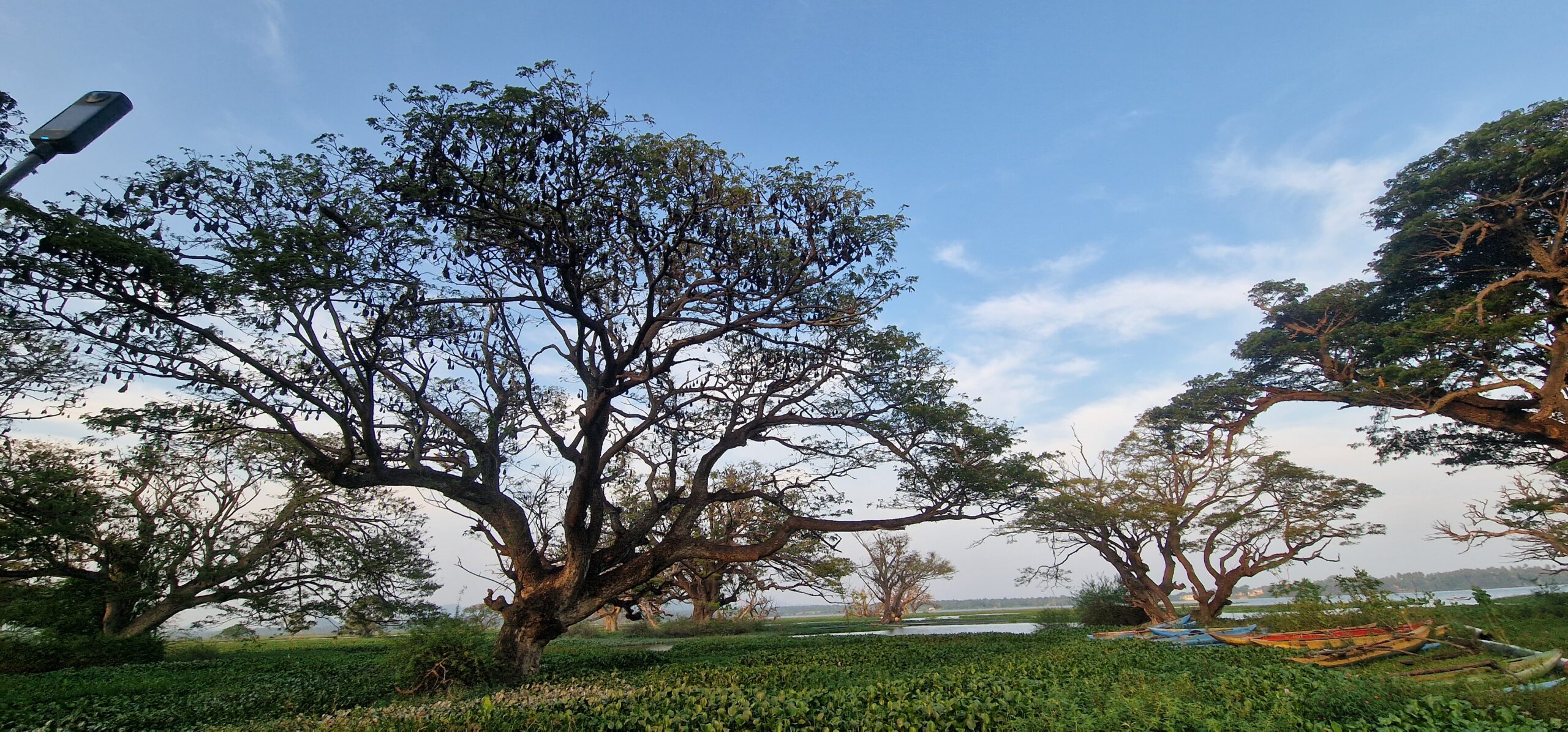 Beautiful landscape of Sri Lanka {{brizy_dc_image_alt imageSrc=