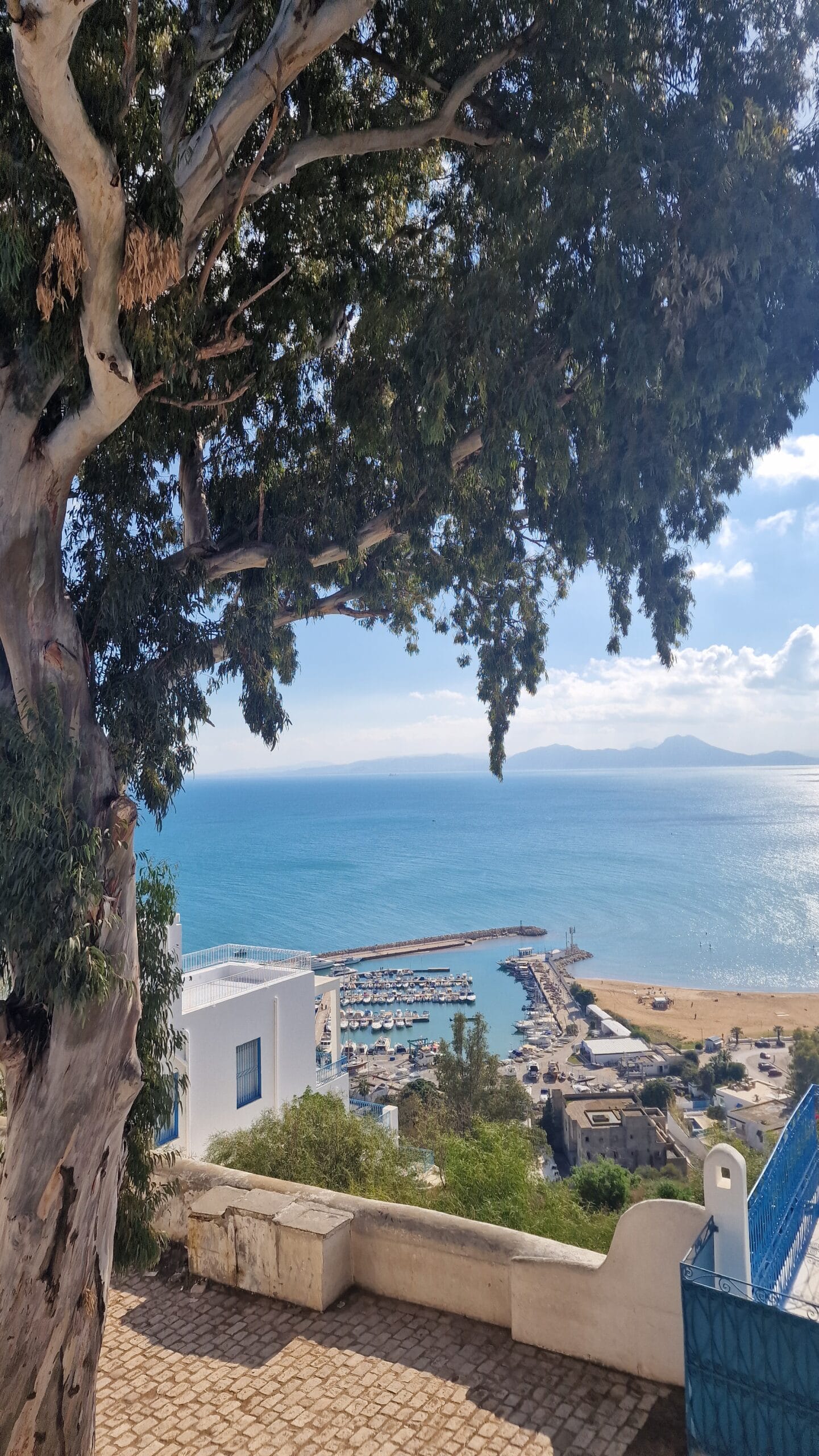 View over the sea from a Tunisian hillside