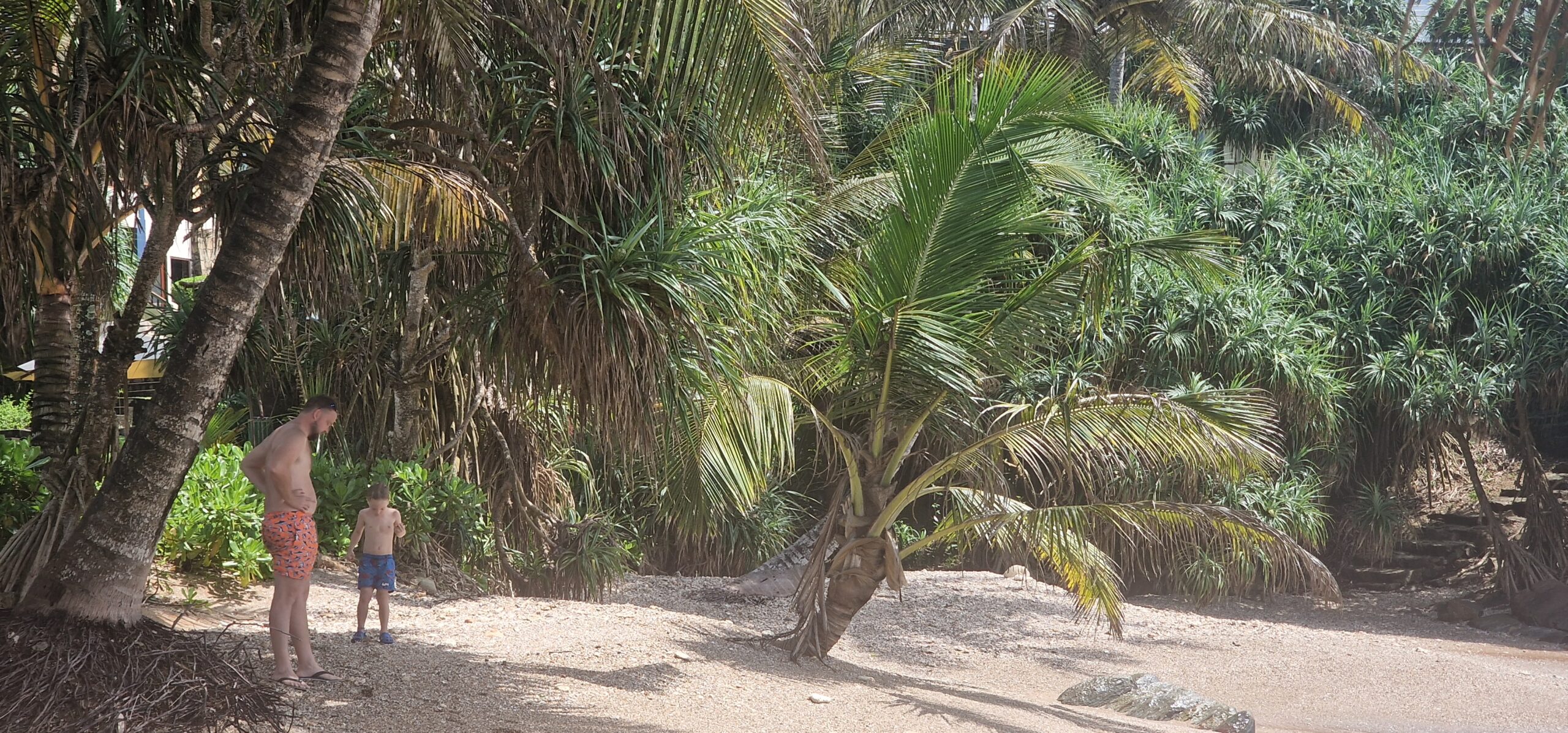 Beaches of Mirissa Beaches of Mirissa