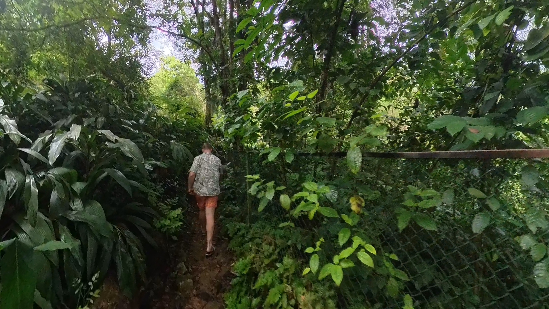 Walking through the jungle in Sri Lanka