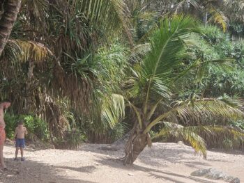 Beaches of Mirissa