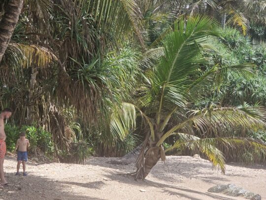 Beaches of Mirissa
